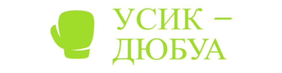Usyk – Dubois